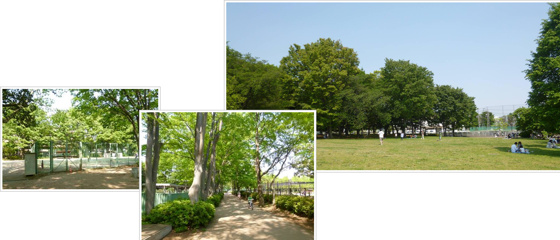 城北中央公園